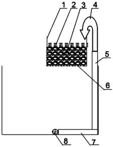 從源頭到凈化 工廠化水產養殖廢水簡易處理技術與水質改良劑研發探索